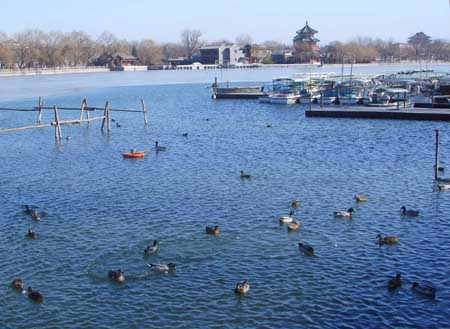 Mercury soars in balmy Beijing