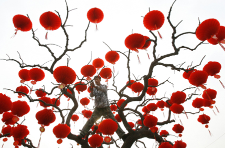 The Year of Pig appoaching