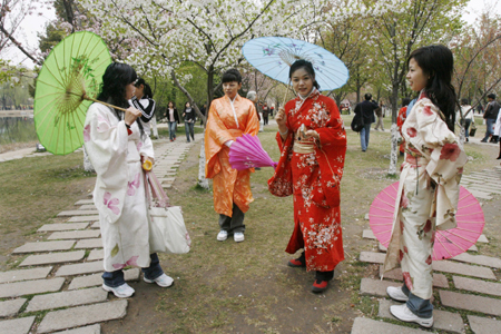 Cherry in full blossom embodies friendliness