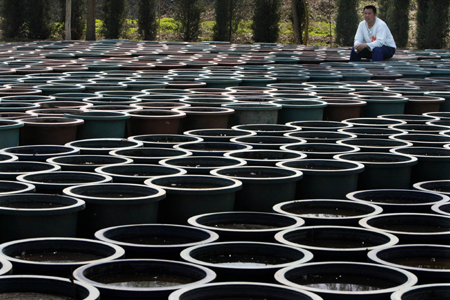 Green Dreams,Colorful Olympics