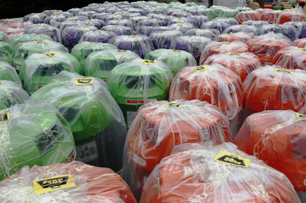 A reed warbler sings from her nest, well hidden along the banks of a river that winds through a London park. London raises bar on greening the Games