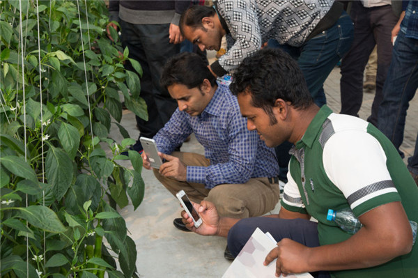 CAAS offers boutique PhD education