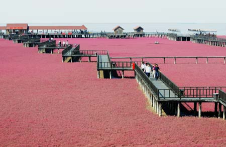 Giant national flag on the red beach