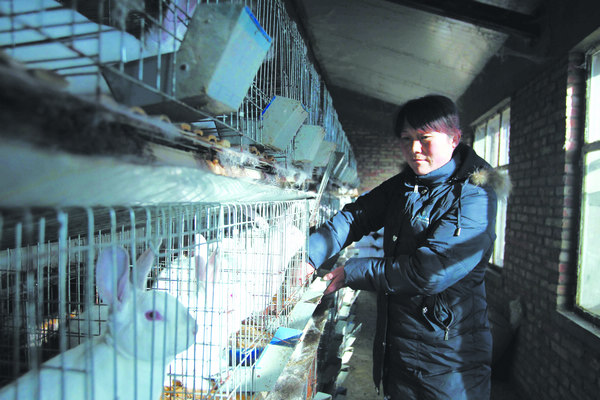 Xu Chunqing's living standard has improved since she began to raise rex rabbits. Last year, the 40-year-old earned 100,000 yuan from her work. Relocation: the move into modernity