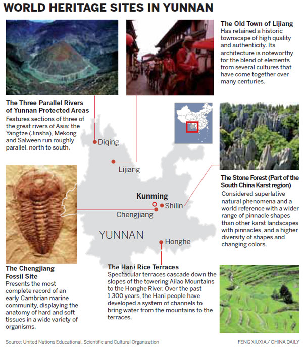 Terraces on top of the world