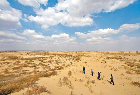 Building last line of defense against desert