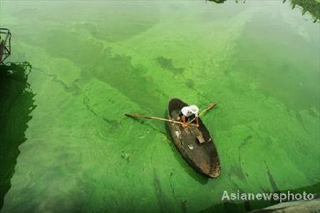 Algae menace to be savior of China's fabric industry