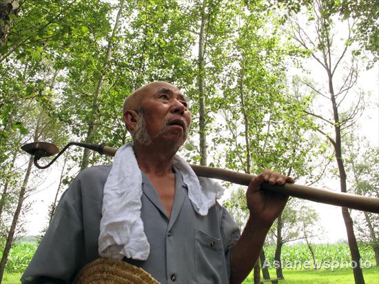 Tree planter turns barren hill green