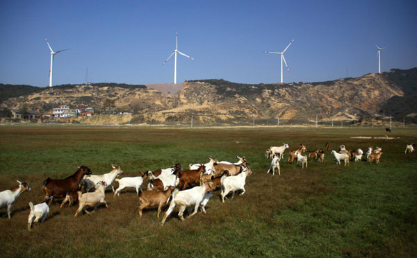 E China wind power plant to provide clean energy