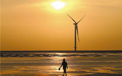 Wind power capacity nears China's development target