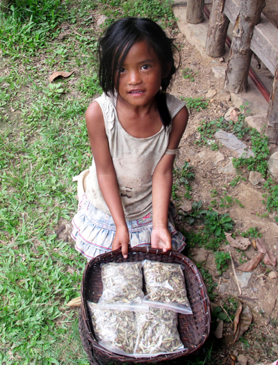 Wengding Wa Village, the last tribe of China