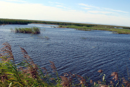 Restoring China's disappearing wetlands