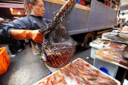 Working hard to satisfy festival appetites in HK, Macao