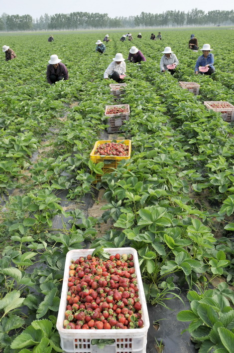 Providing more food for thought