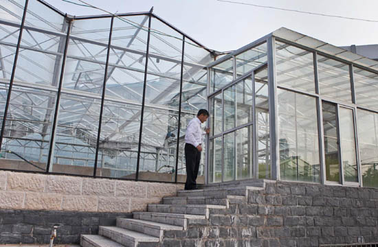 Rice breeder introduces new breed to China