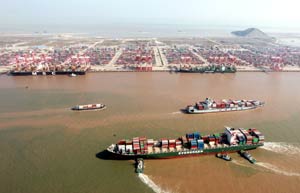 FTZ official removed, Xinhua says