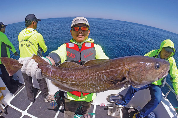 Dalian Zoneco fishing for move into profit