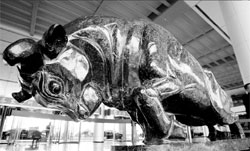 Asset injection prospect boosts HHM shares