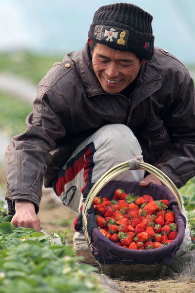 Family farms plant seeds for prosperity