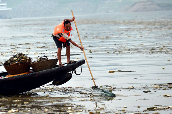 Higher subsidies proposed for ecology protectors