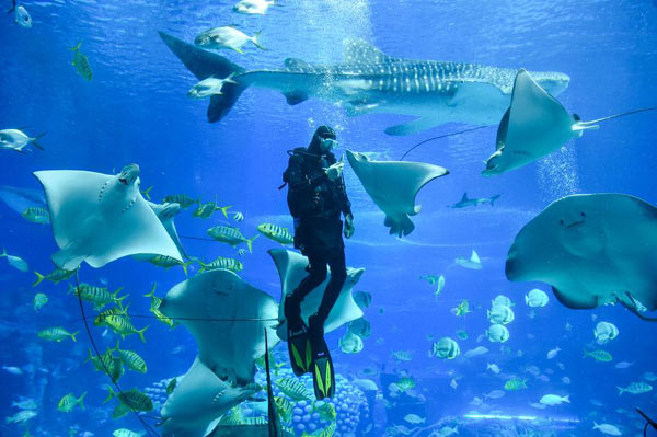 Top 10 most sustainable cities in China