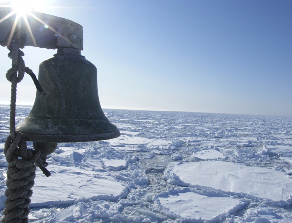 Application for observer status in region up in the air