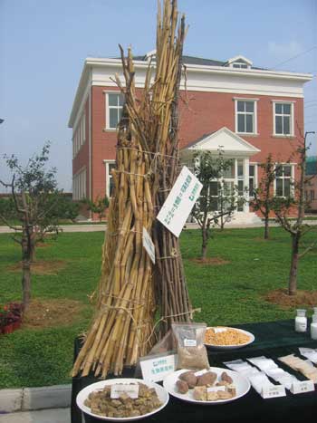 BBCA: Chinese largest biochemistry enterprise