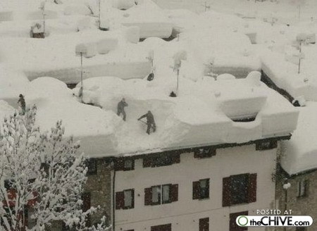 Chinese media's top 10 fake news stories in 2009