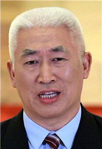 Experts' perspective on the achievements