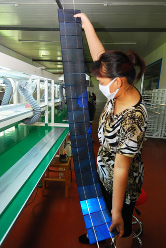 Sun shining brightly on blossoming green industry