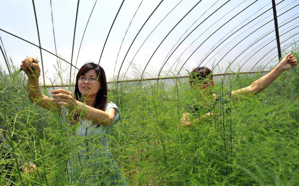 College graduates contribute to China's rural development College graduates contribute to rural development