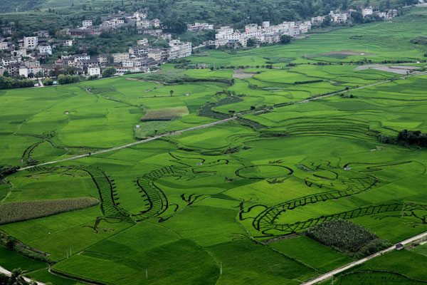 Green is new color of beauty