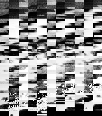 CPC history in pictures (2): Nationalist Revolution (1924-1927)