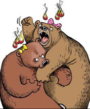 Zoo wants to find male bears for female bears