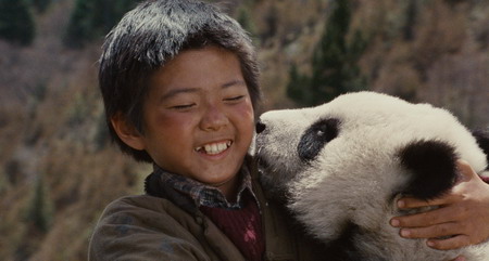 Pandering to every whim - a real panda movie!