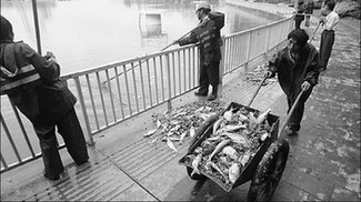 Villagers' drinking supply undermined