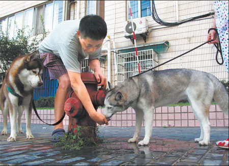 Solar eclipse view may be hurt by clouds, rain