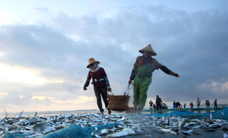 Special fishing method attracts tourists in Guangdong
