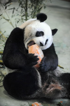 Happy birthday, Yuanyuan!