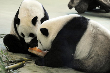 Happy birthday, Yuanyuan!