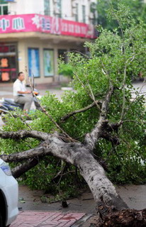 Tropical storm lands in  S China's island province