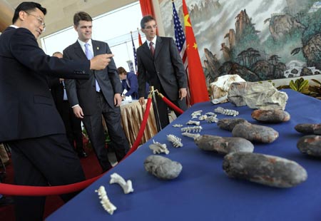 Dinosaur fossils back home