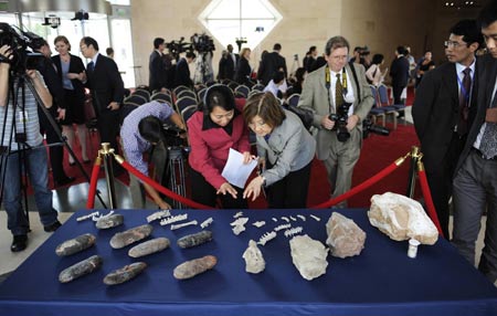 Dinosaur fossils back home