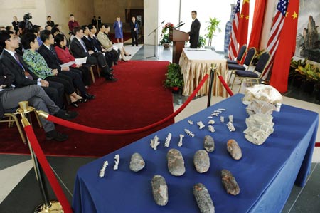 Dinosaur fossils back home