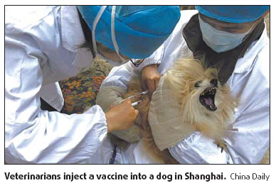 Dog lovers call for new law