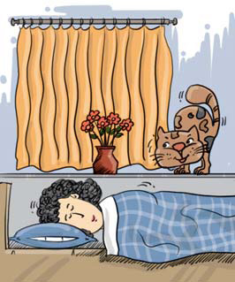 Cat doubles up as alarm clock for master