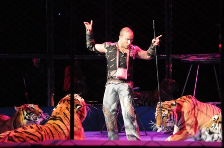 Funny tiger performances at Wuqiao International Circus Festival