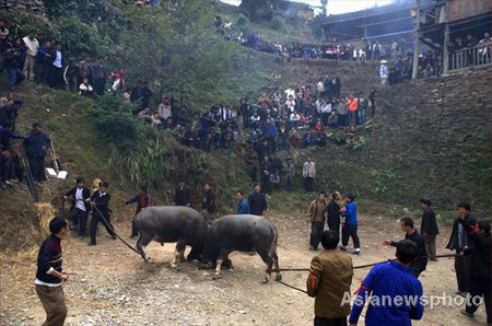 Tourists join in ethnic Miao's New Year celebration