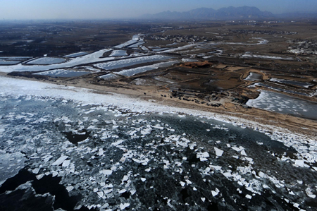 Sea ice forecast to expand