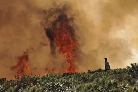 Fire raging in SW China forest for three days
